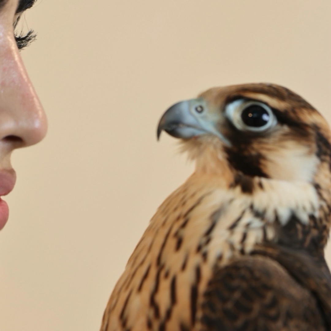 هَـدب القحـطاني